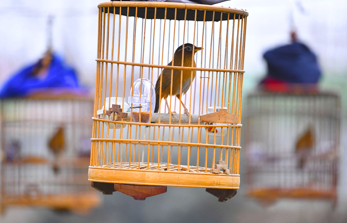 出一份描写4月的诗歌散文