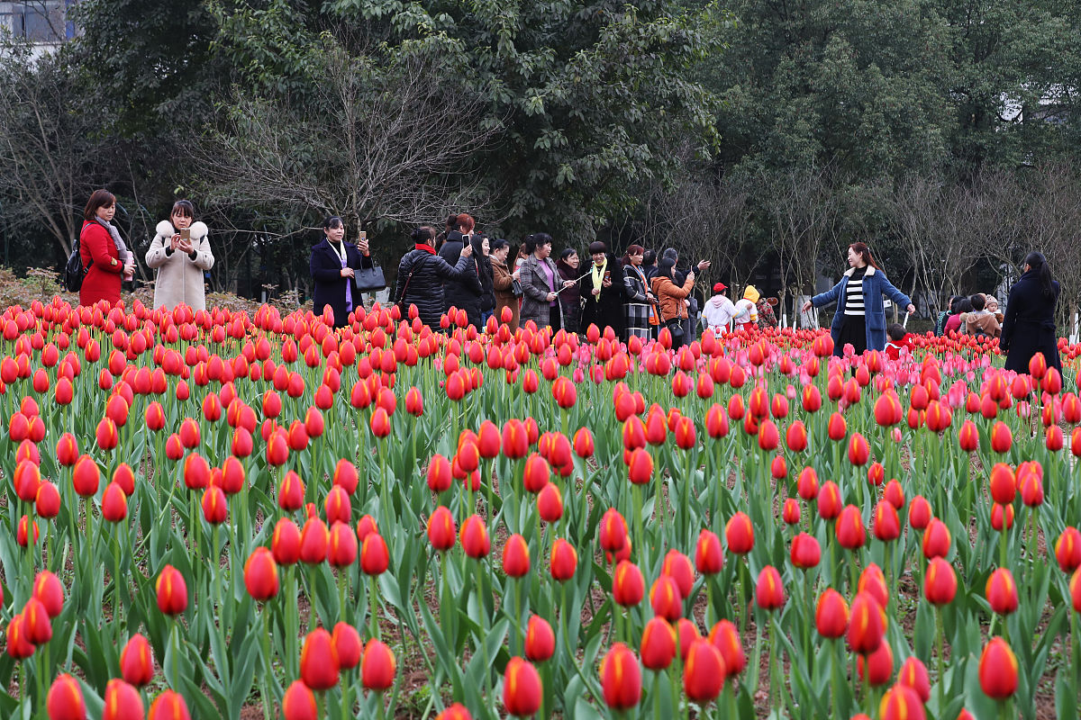 重庆虎溪职业中学2019年招生简章 - 培养优秀职业人才