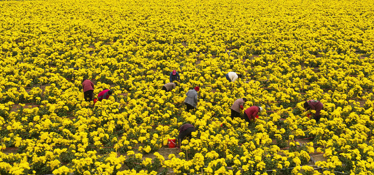 枣庄薛城区职业中专2021年报名需要满足哪些条件