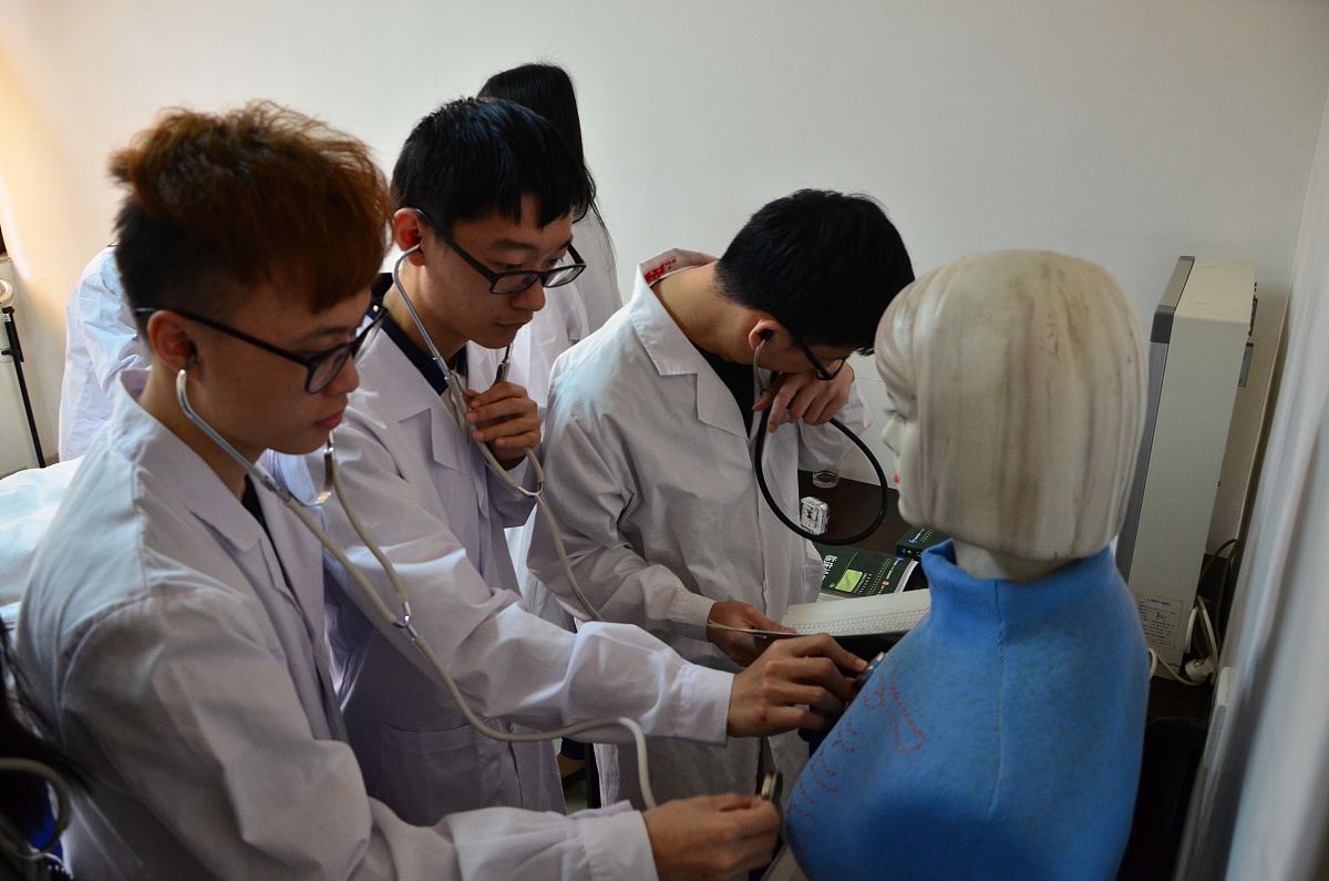 作物生长模型：模拟生长发育、预测产量和决策