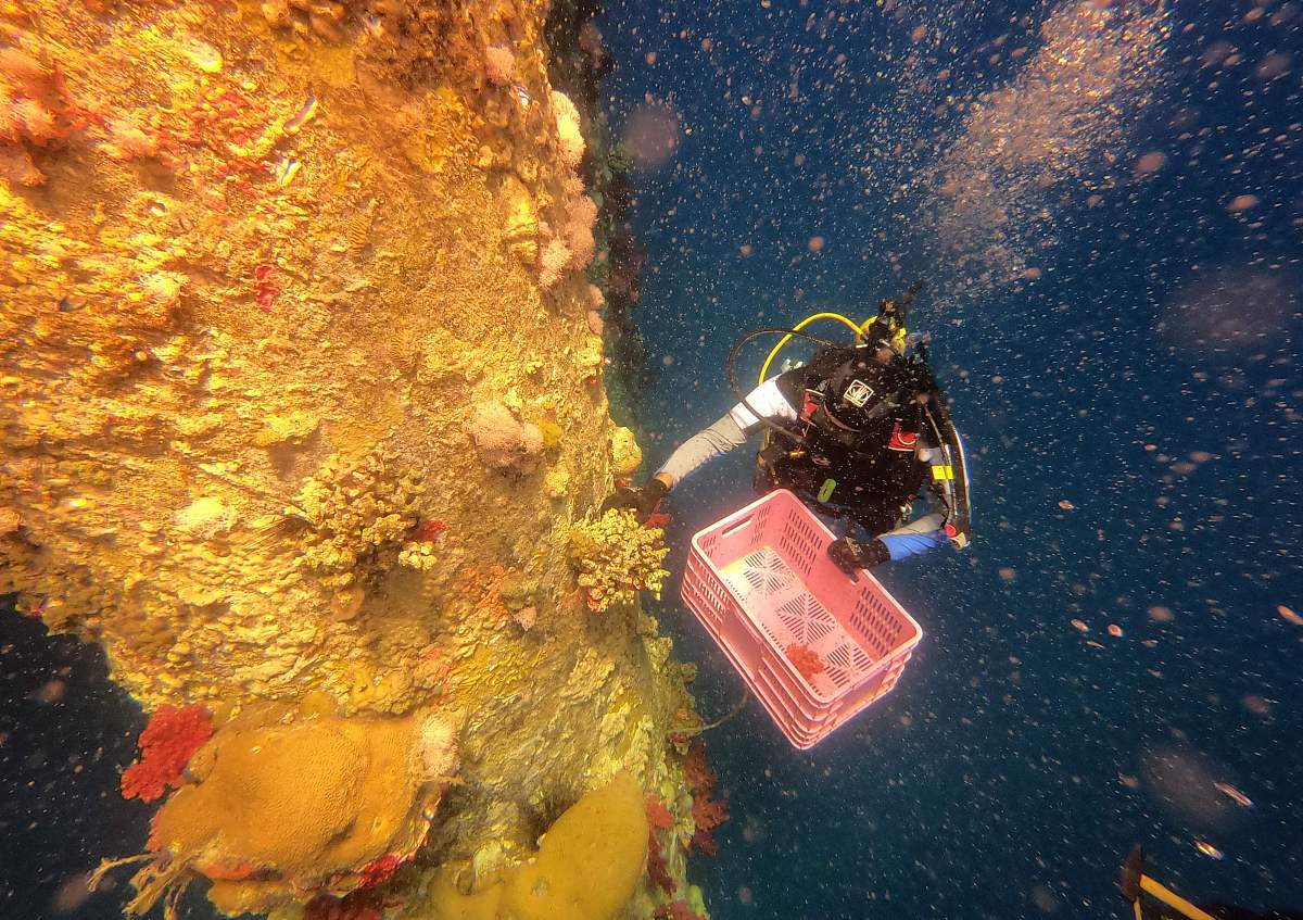 成都电大教育专业招生：培养未来教育中坚力量