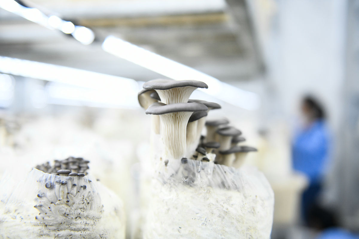 贵阳空中乘务比较好的大专学校是哪个