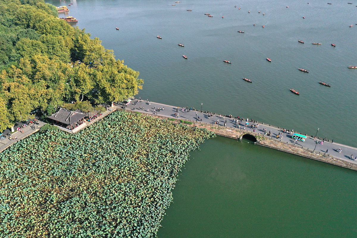 我刚来杭州51放假期间想要去免费的旅游景点有哪些