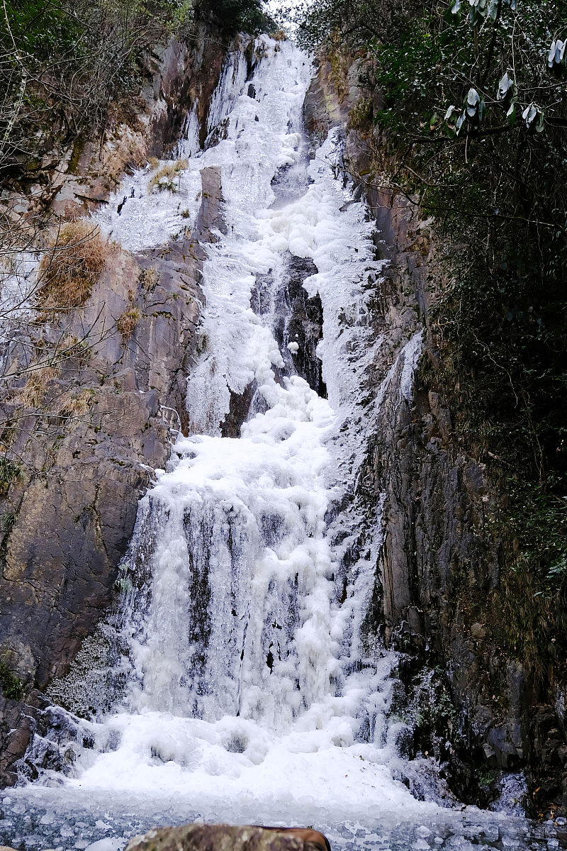 黄山旅游管理学校2021年有哪些专业招生