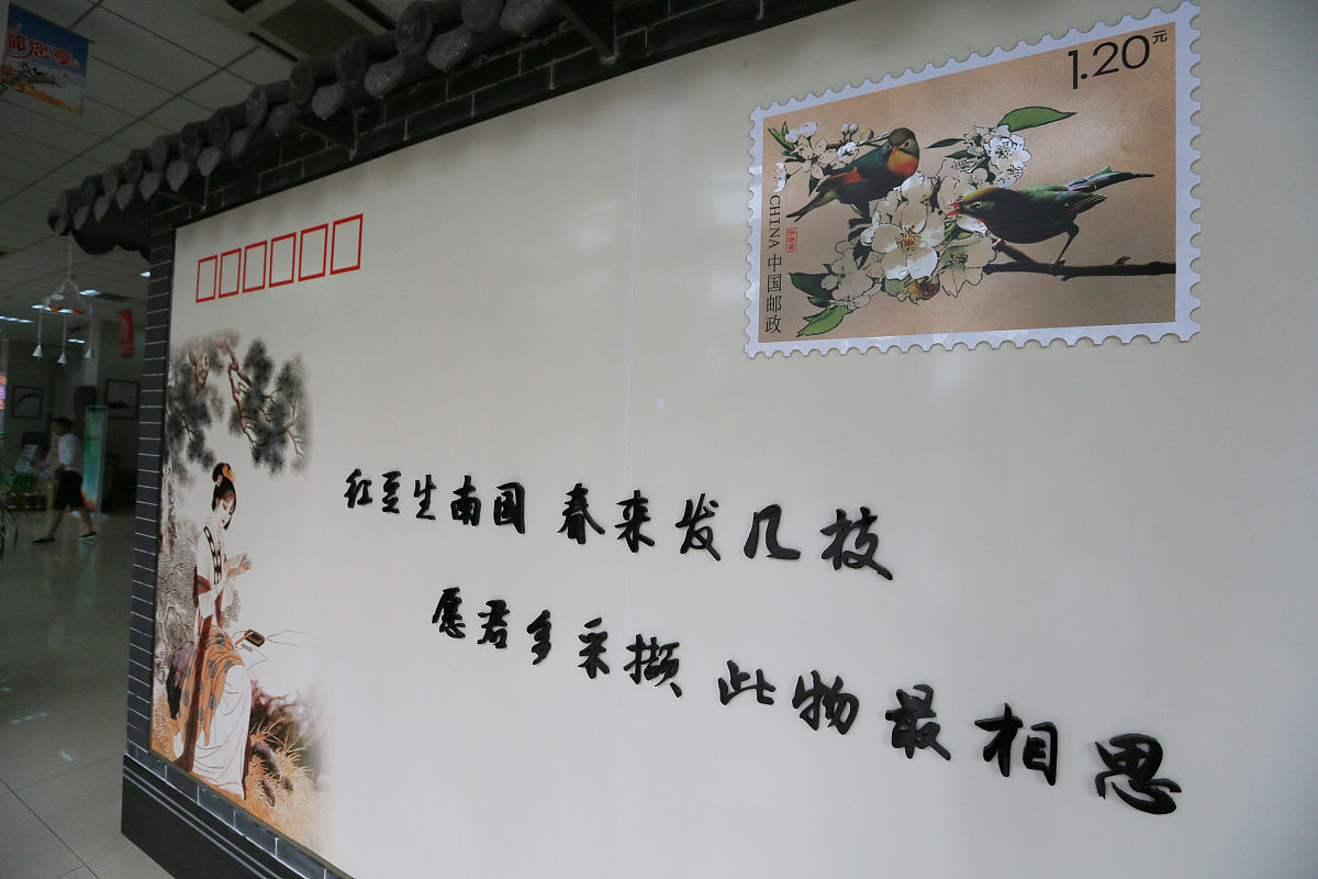 传统文化美育墙设计：创意方案与案例赏析