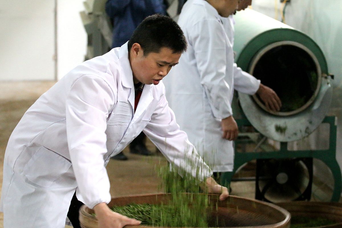2022年江西科技师范大学学前教育学专业招生