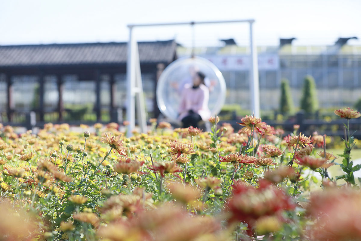 2022年江西科技师范大学学前教育学专业招生