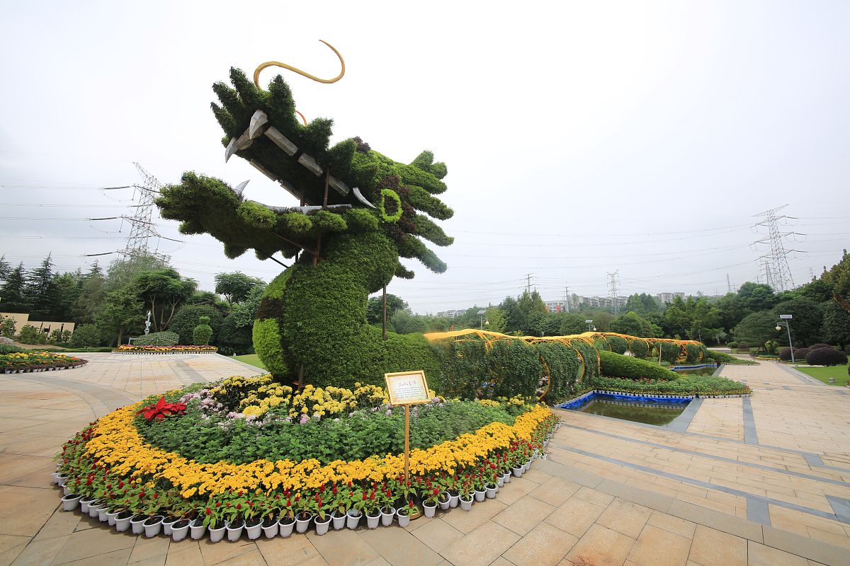 2019年男生报读高级护理专业前景如何？_重庆卫校整理