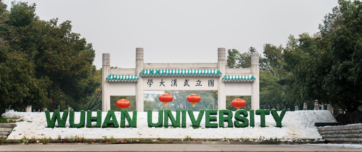 武汉2022年哪个学校有卫校