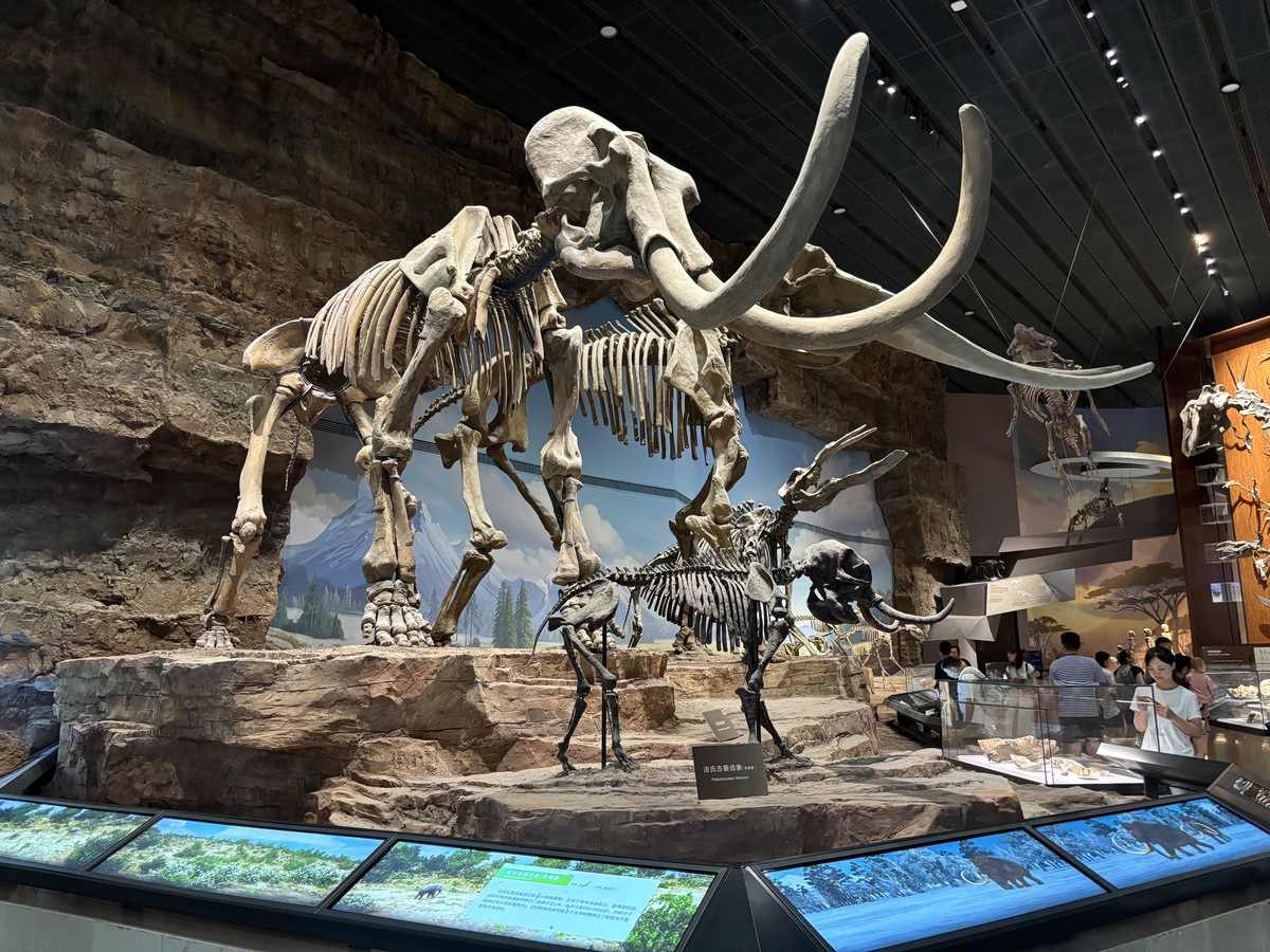 Dinosaur Exploration: A Boy's Journey Through Museums