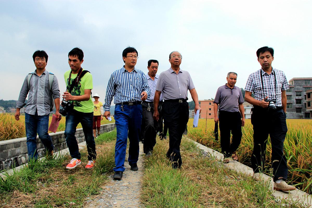 下列费用中不属于固定资产其他费用中研究试验费的是 。A、为项目提供设计参数所进行的试验费B、按设计规定在施工中必须进行的试验、验证所需费用C、按施工验收规定在施工中必须进行试验所需费用D、为项目验证设计参数所进行的试验费