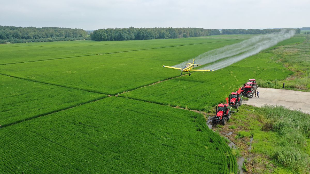 黑龙江农垦机械化学校会计电算化专业详解