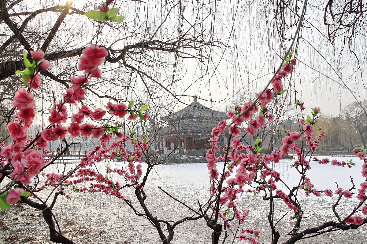 小学生作文，主题是跟妈妈和妹妹去春游看桃花林，字数700个字。