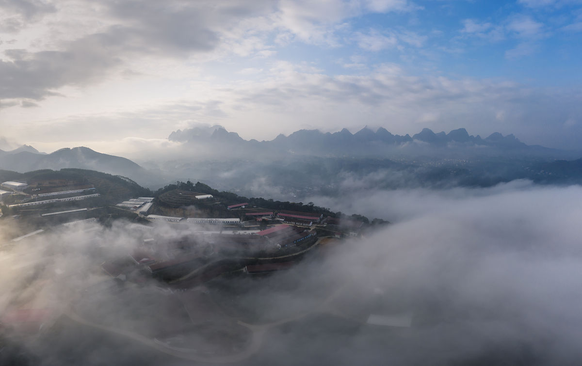 广西玉林农业学校2021年开设有哪些专业