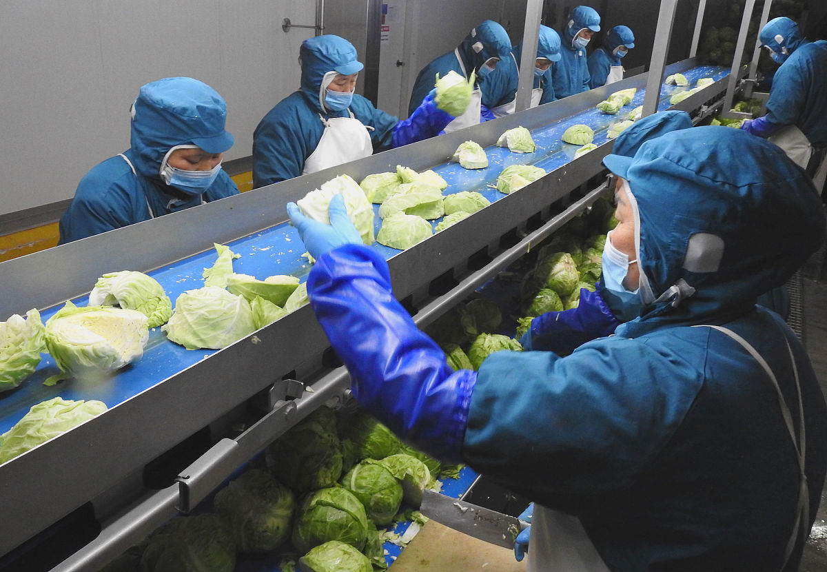 农产品保鲜与加工专业就业前景