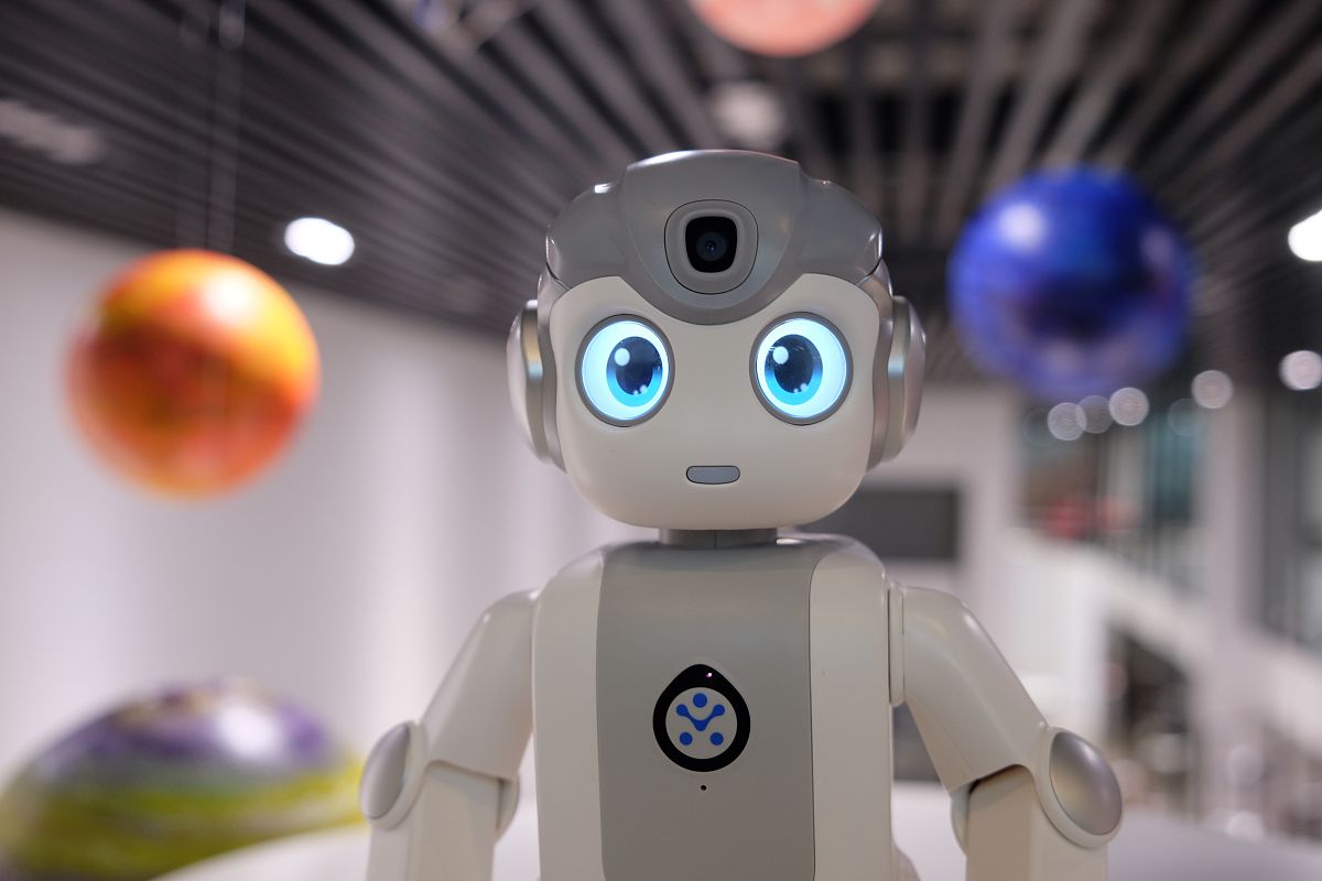 你与玩具有何不同