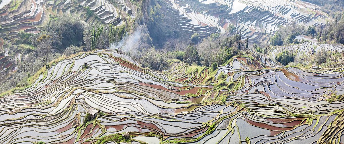 2020年1月20日,云南红河,元阳梯田春色.(如需下载请署名 曾文平/视觉