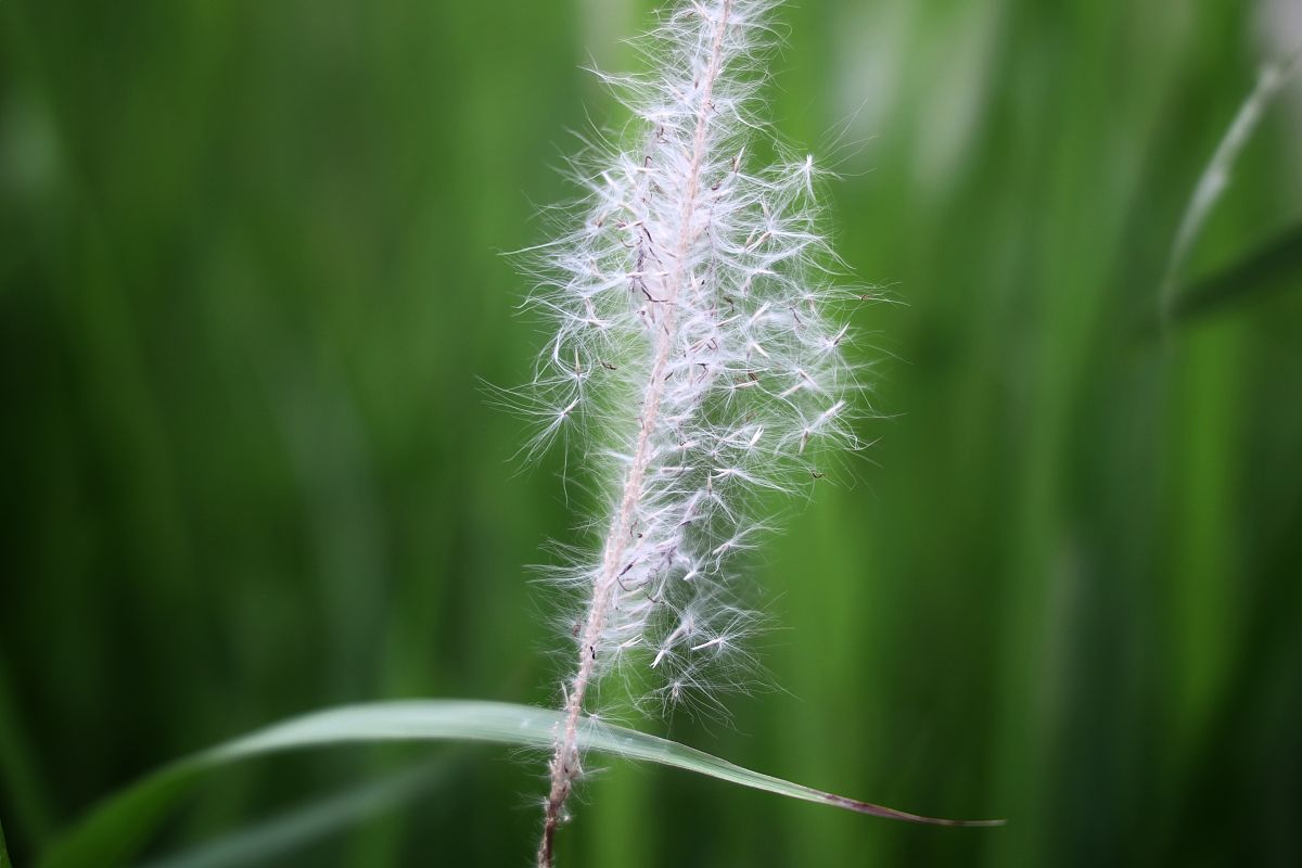 2022年5月20日郊游日记：绿色公园、主题乐园、美味佳肴，与家人共度美好时光