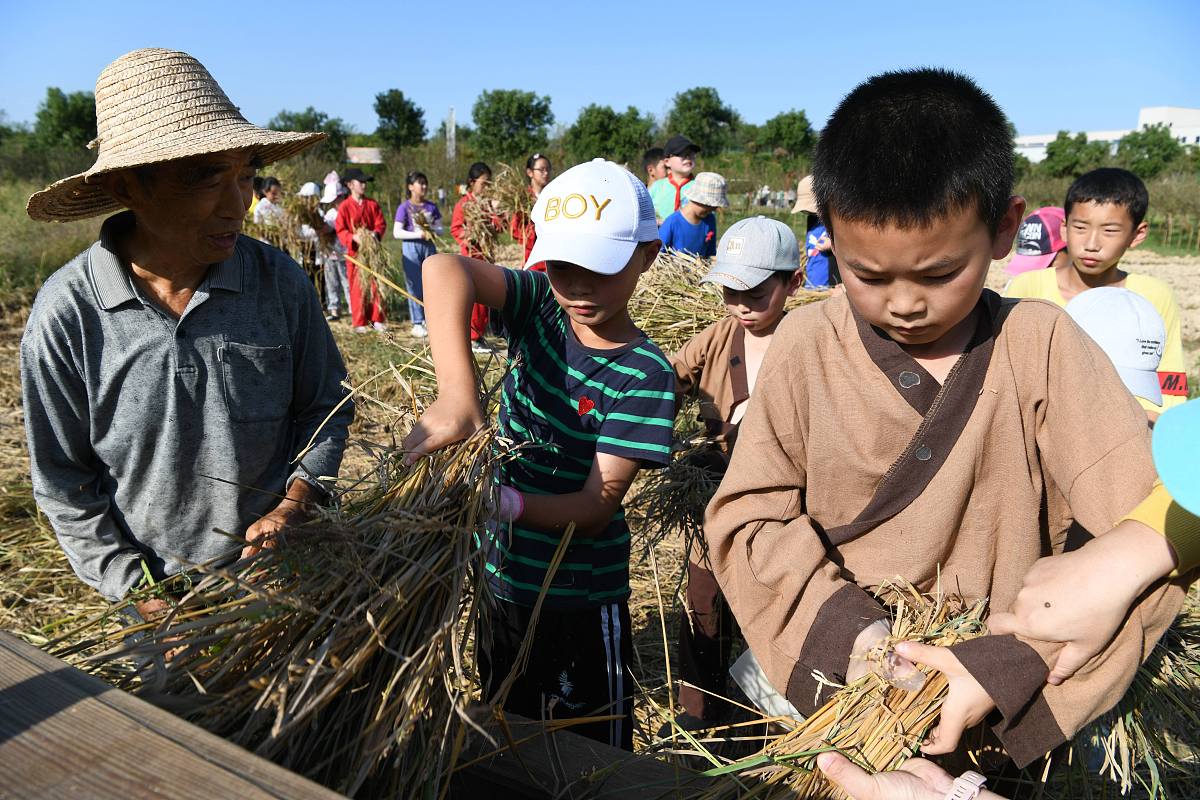成都职业学校五年一贯制专科：实践至上，为未来奠基