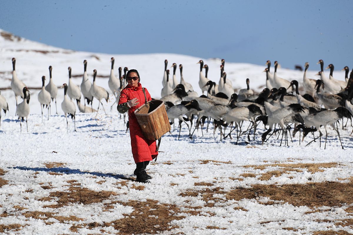 云南经贸外事学院建筑工程管理专业招生 - 2022年招生简章