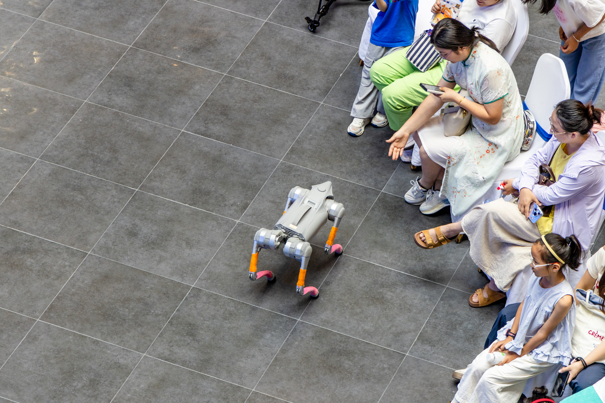 搭建仿生多足机器人实验心得体会300字