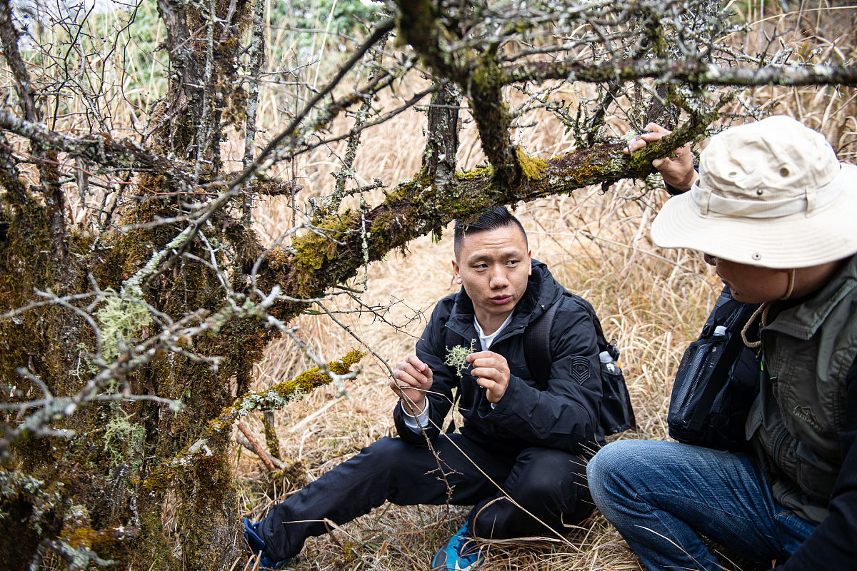 物种调查监测技术：方法、应用及案例