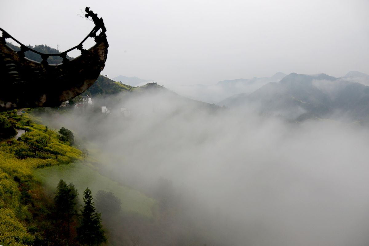 黄山市媒体曝光求助平台汇总：如何反映问题、投诉举报？