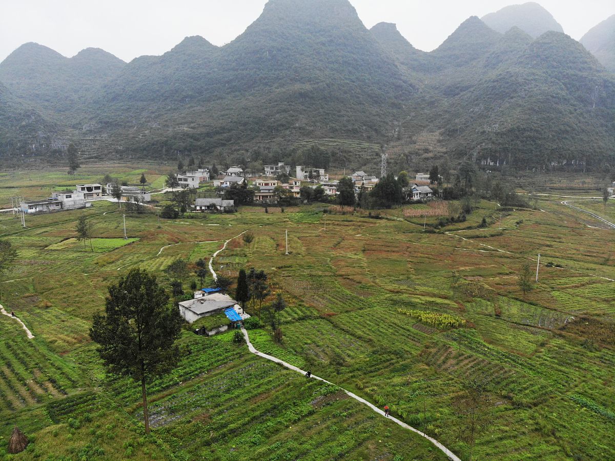 贵州六盘水市三变改革带来农村大变样学习心得 2000字