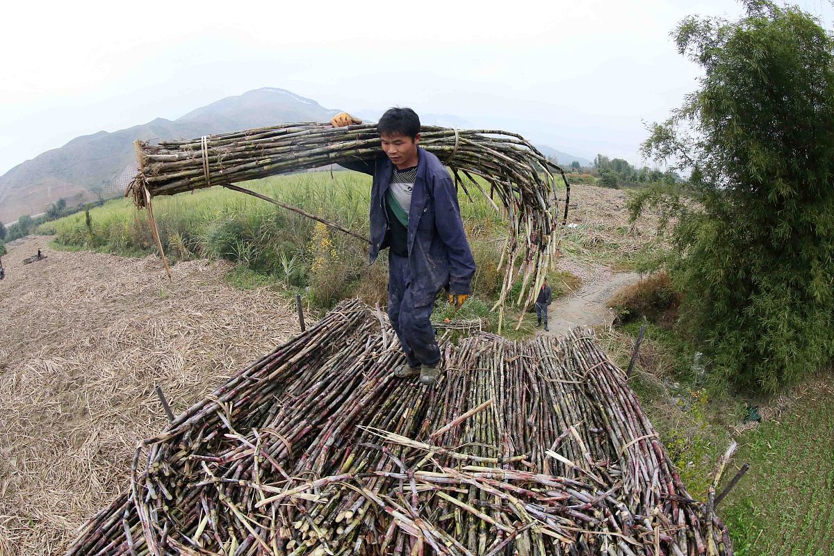 广西机电工程学校2020年招生办联系电话