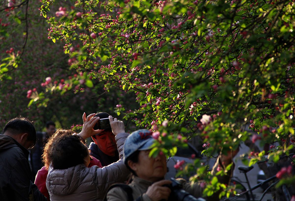 天津大学仁爱学院过程装备与控制工程专业怎么样