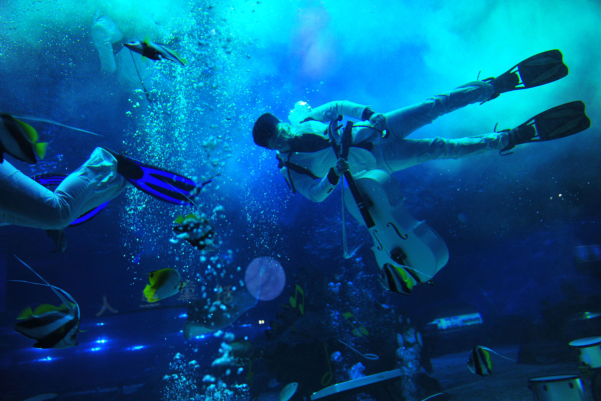 如何找回掉入海中的针？6个实用的方法！