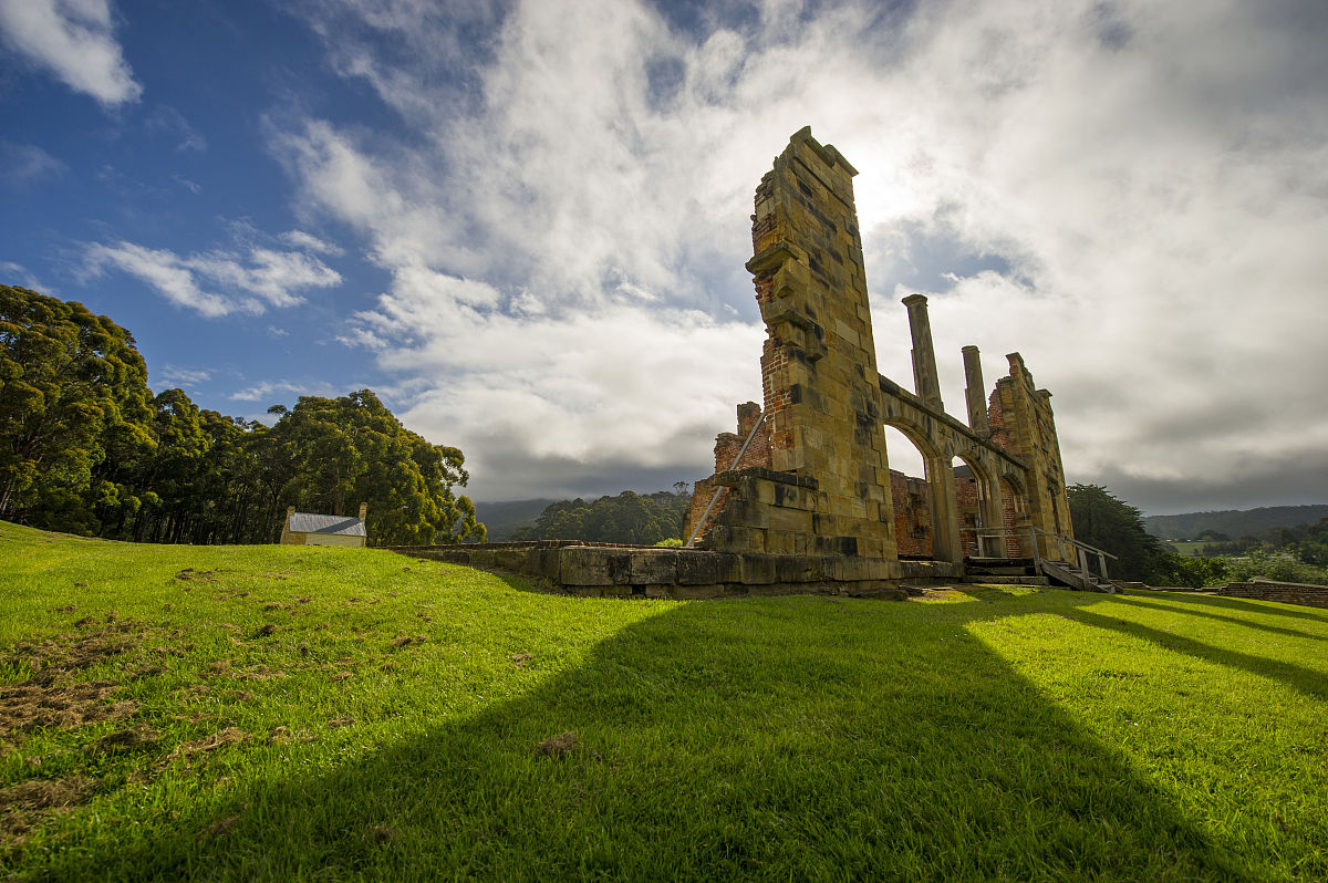 福建农林大学林学专业怎么样？就业前景、发展方向及优势解析
