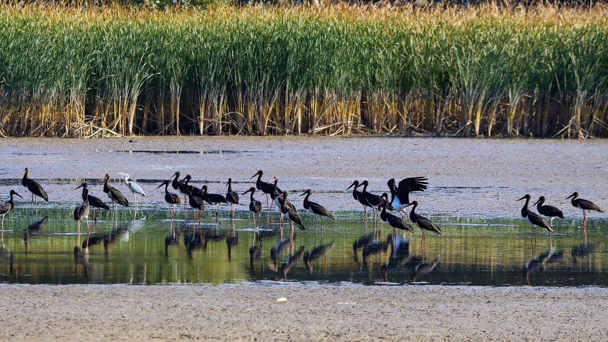 13和7的最小公倍数是多少 - 详细解答