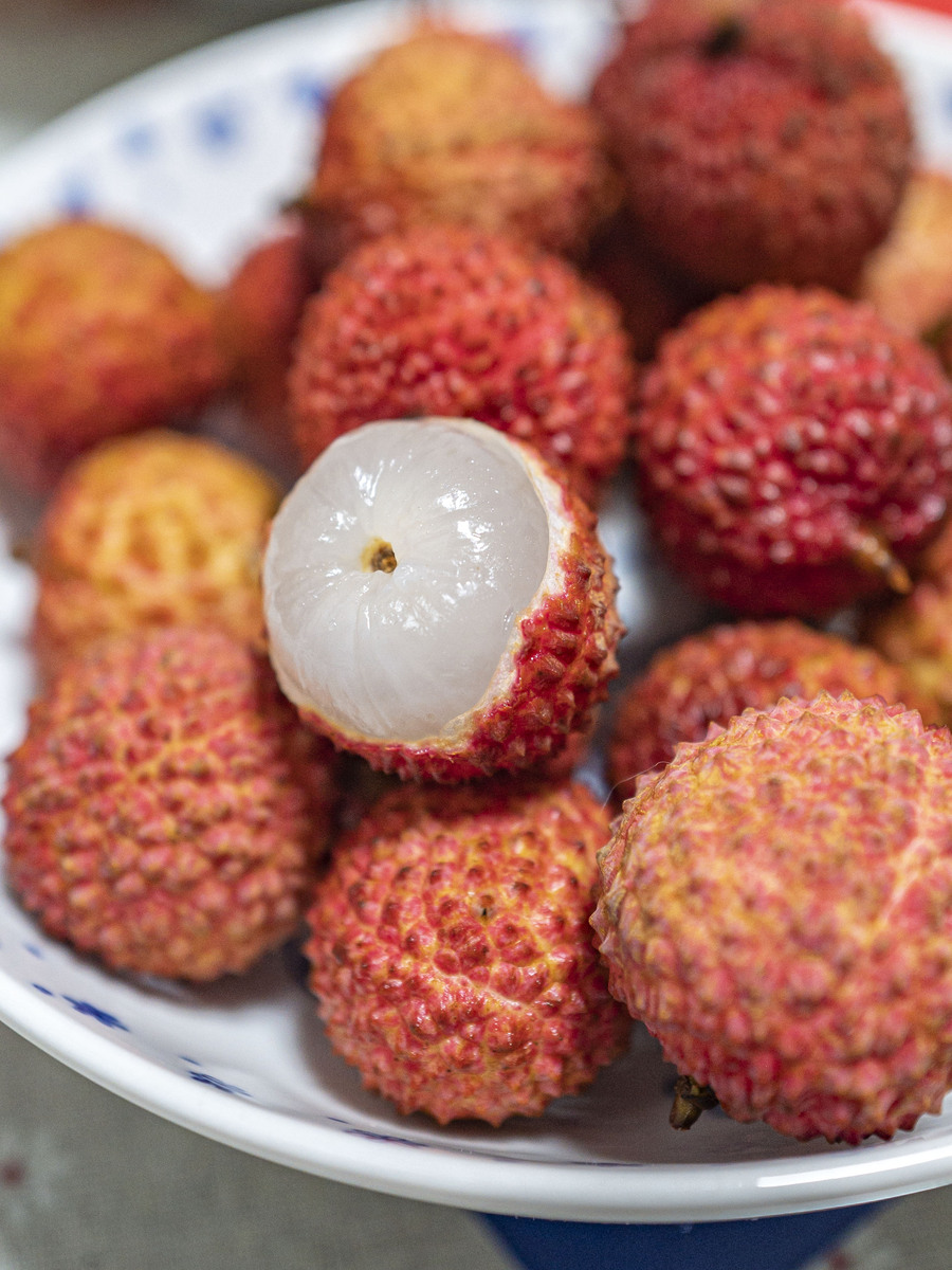 南州六月荔枝丹解析，