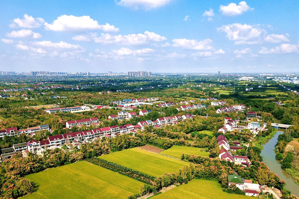 2021年9月30日,江苏南通,如皋磨头镇天阳社区高标准农田,金色的稻田与