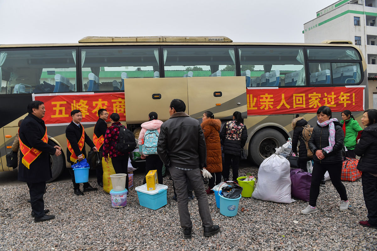 租车方案：如何用A型和B型客车运送七年级师生参加社会实践活动