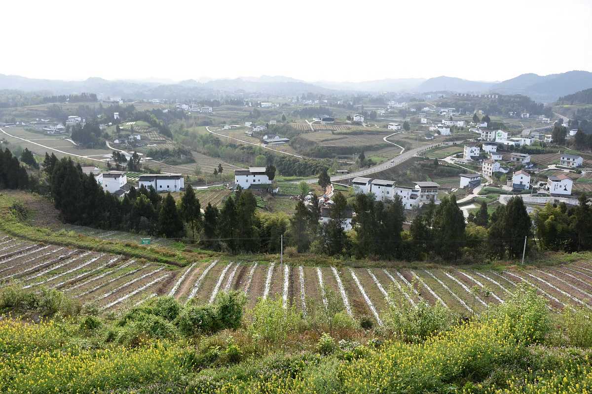 南充2022年哪个卫校好