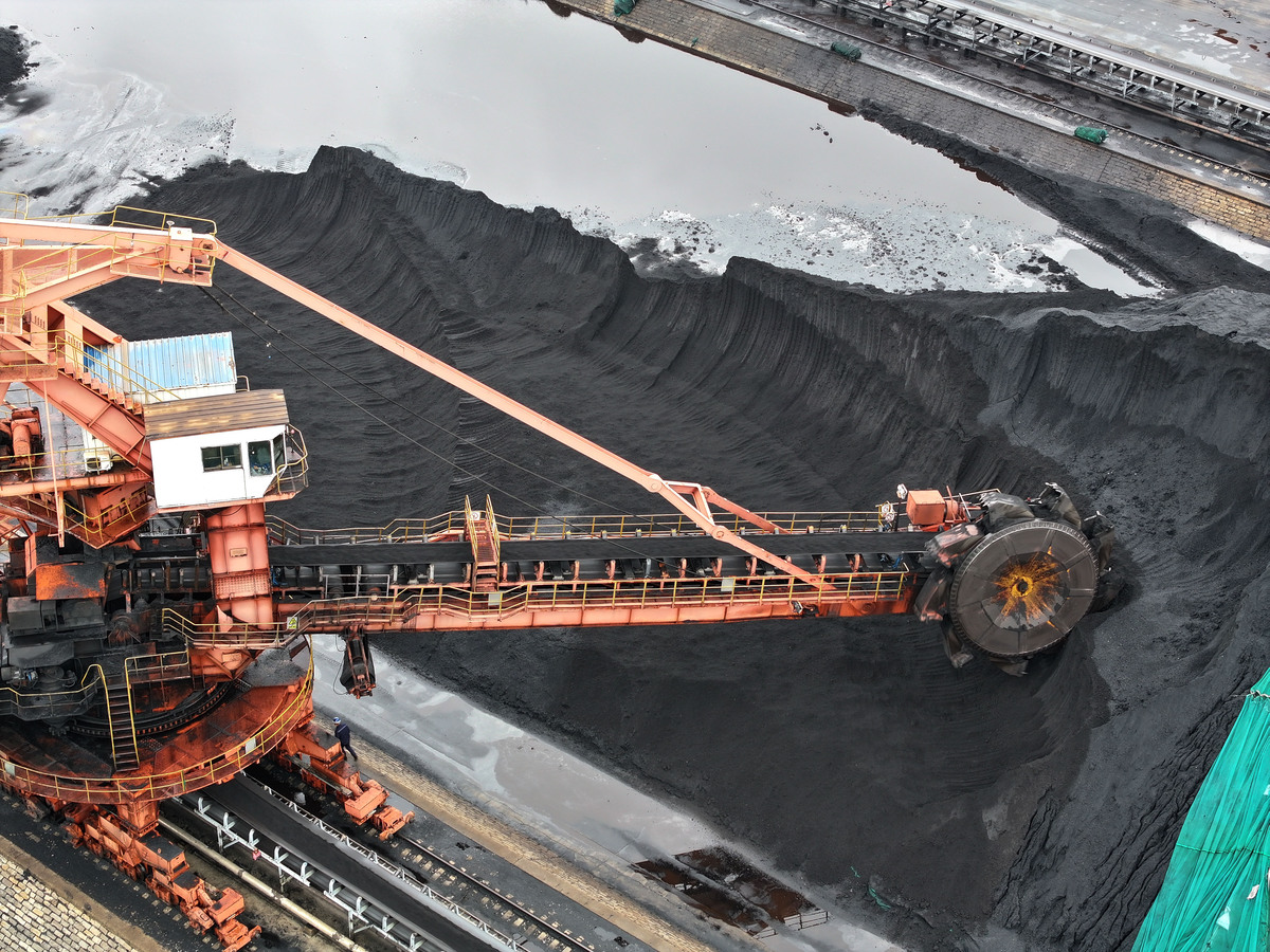 Cargill租船期间木材运输导致货舱损坏，后续航次未发现新损