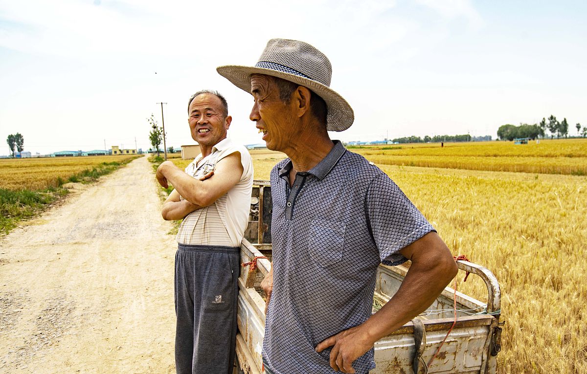 父爱如山：一位勤劳、坚韧、节俭的农民父亲