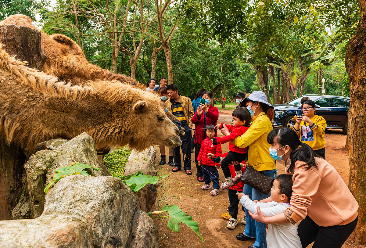 探索自然，关爱生命：研学旅行计划