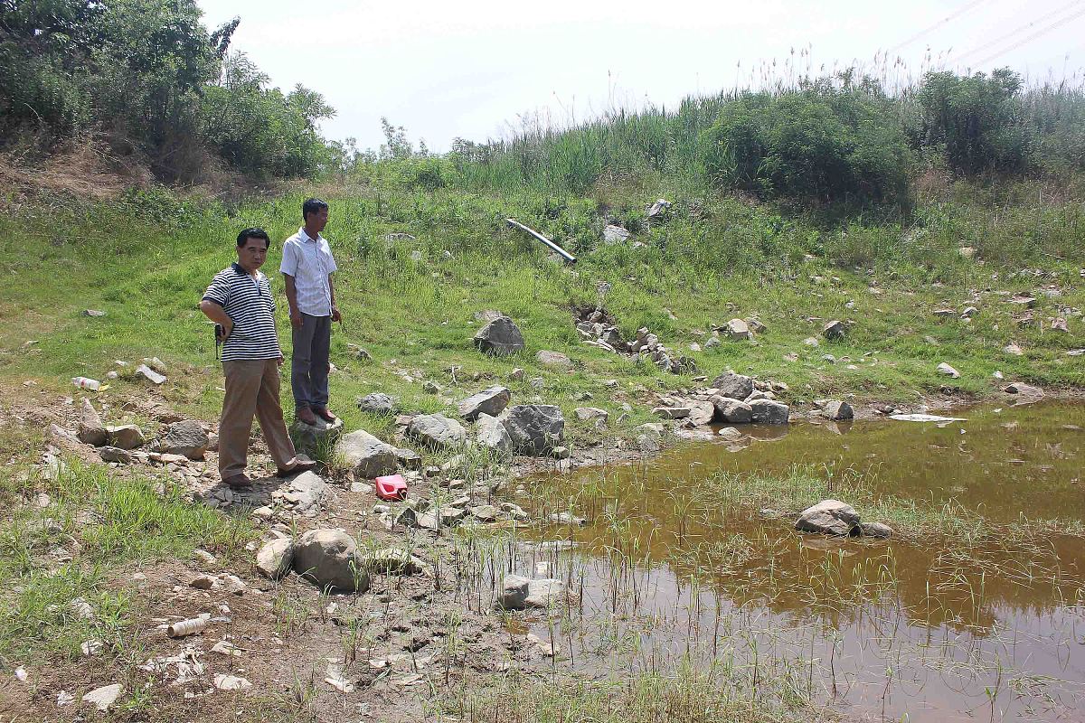 水利工程白蚁等害堤动物隐患普查项目人员岗位管理规范