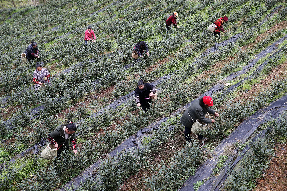 重庆黔江区民族职业教育中心服装设计与生产管理专业教学质量怎么样？