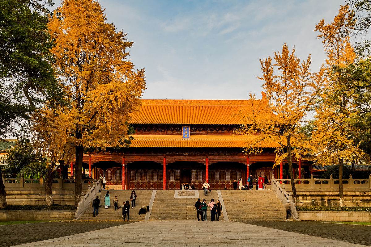 2018年11月24日,南京,大成殿前的广场,蓝天白云下的古建筑与银杏树美