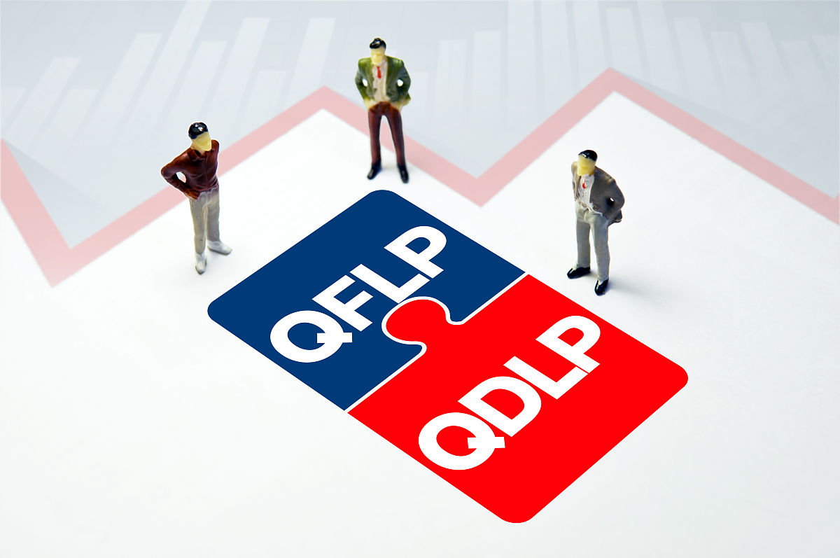 QFLP 模式：案例分析及优势解读