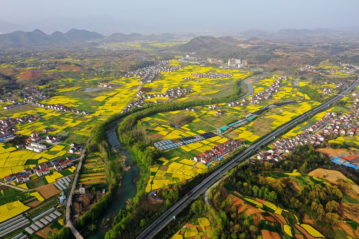 关于四川广元市电力施工总承包二级办理转让哪个公司有？字数