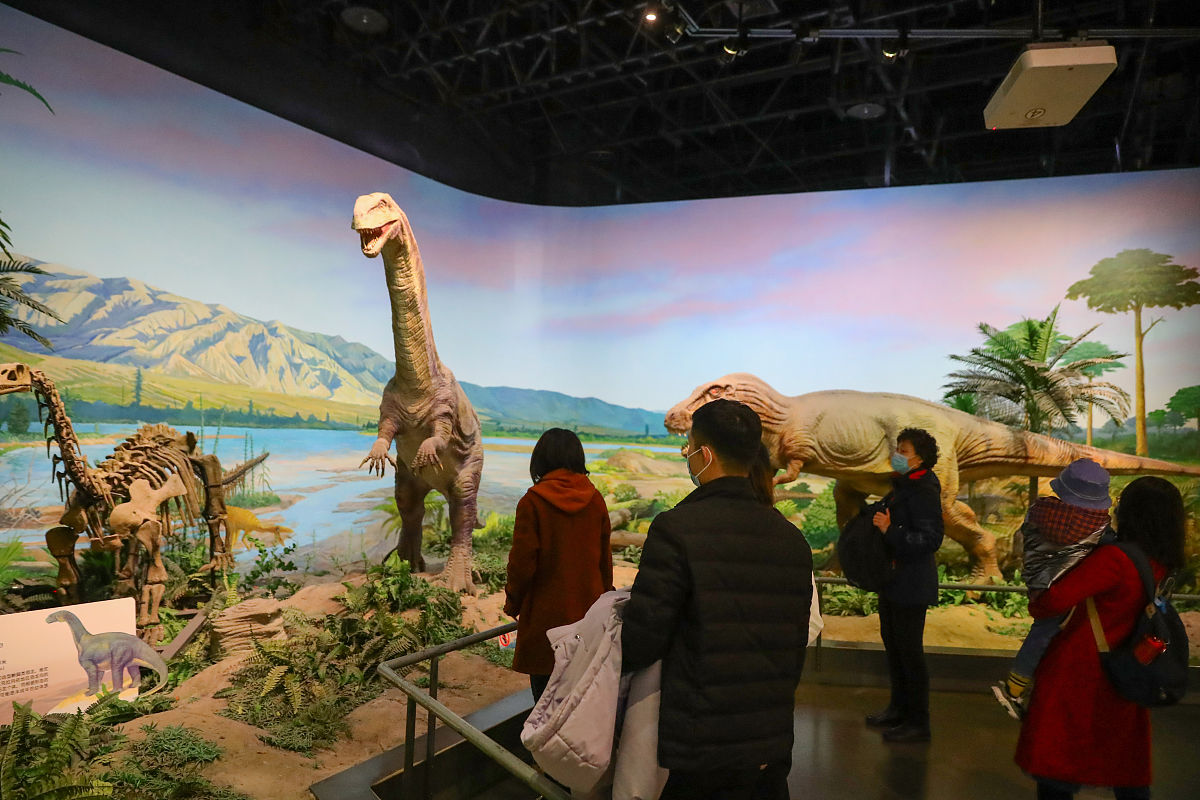 20条回复：把整座山建成博物馆 探索人与自然和谐共处之道