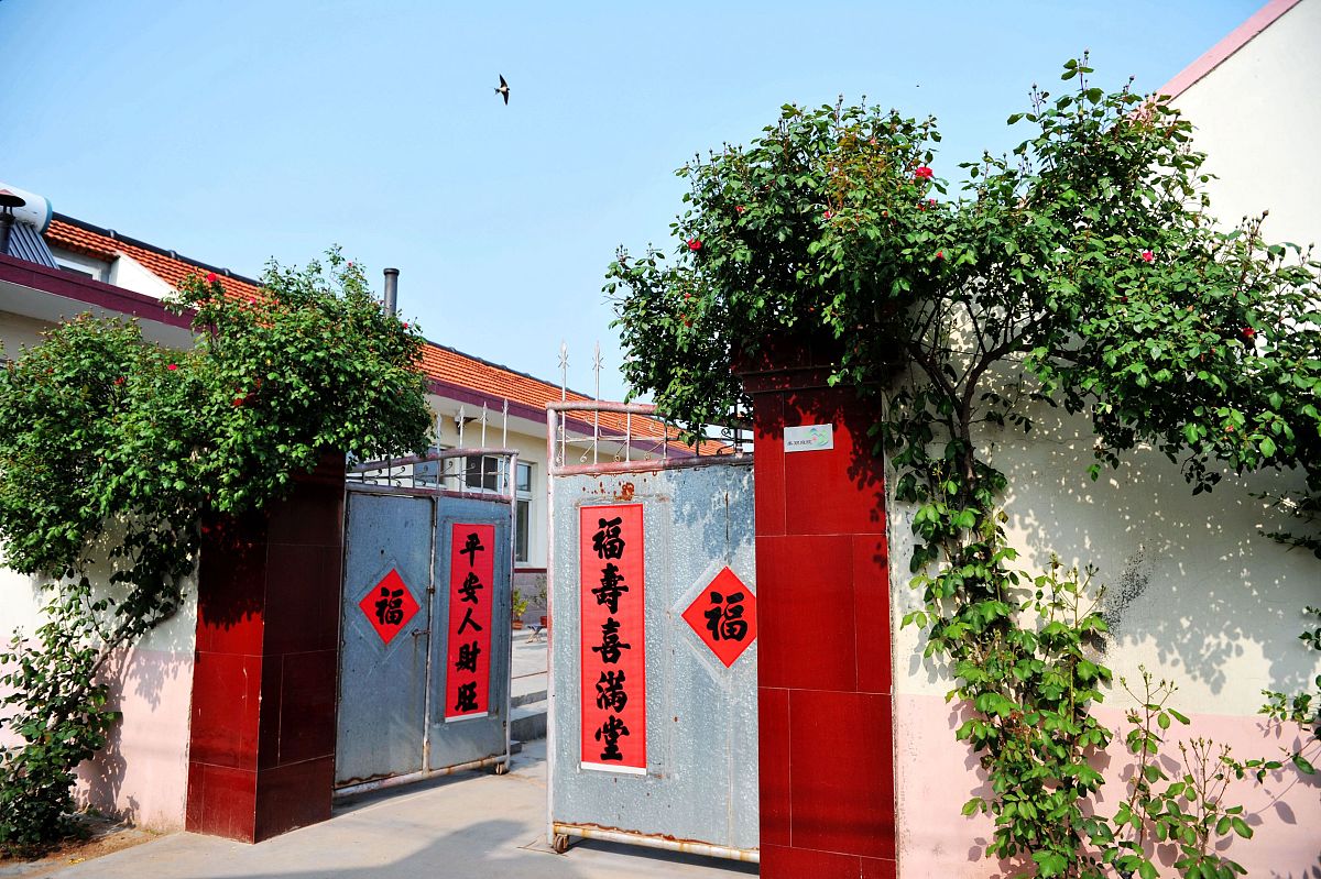 使用文化博主的口吻写篇1000字院中有3样家固财兴旺3样分别指啥？老话真的可信吗？的文章要有和读者互动语句带标题