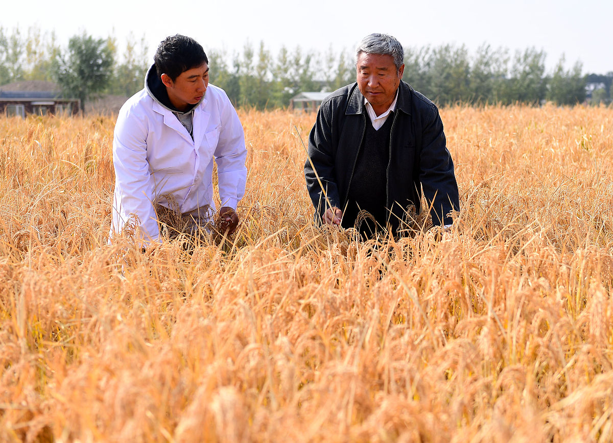 陈卓是榆树市远近闻名的种粮大户他牵头成立的田丰合作社今年托管了601公顷土地。从合作社成立开始陈卓就下决心走现代农业发展的路子合作社的机械化水平逐年提高现有60多台套农机实现了耕、种、收全程机械化。这次租来飞机喷药让合作社的现代化水平实现了一次真正的飞跃。飞机是陈卓是从哈尔滨一家公司租来的。该公司负责人王立辉介绍说今天是他们第一次与我省农民合作开展玉米航化作业农民自主开展的航化作业在全国也比较少见