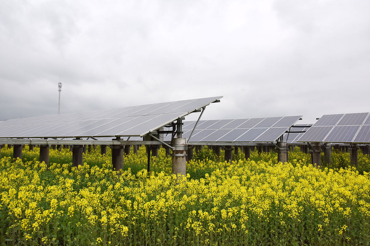 平凉农业学校种植专业怎么样