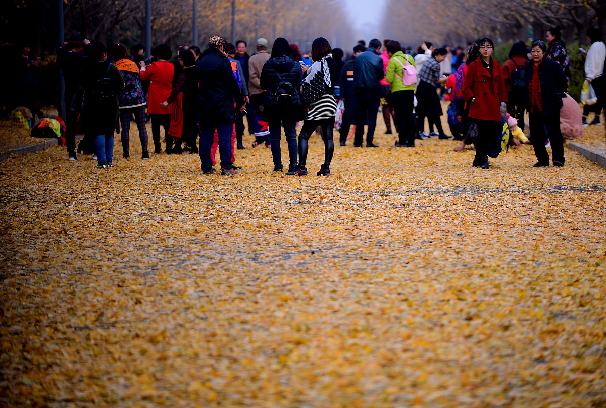 辽宁职业学院作物生产技术专业：未来发展前景广阔